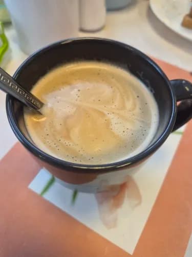 ☕ מקציף חלב חשמלי אוטומטי HiBREW — קצף חם וקר לקפוצ'ינו ולאטה כמו בבית קפה - תמונה 5